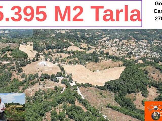 Darıca, Manyas içerisinde satılık Arsa