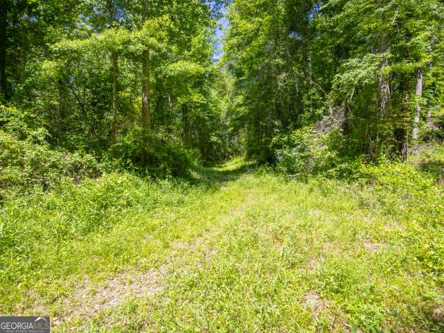 Land for sale in Newnan, Georgia