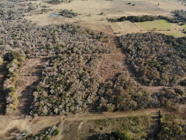Land for sale in Somerville, Texas