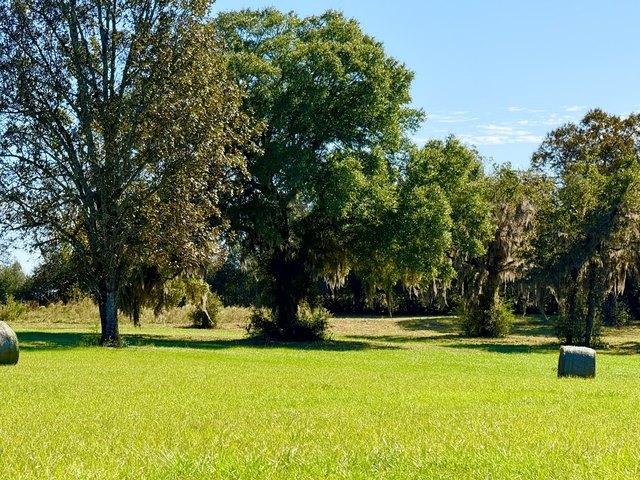 Land for sale in Ponce de Leon, Holmes County