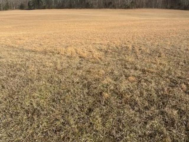 Land for sale in Burkesville, Kentucky