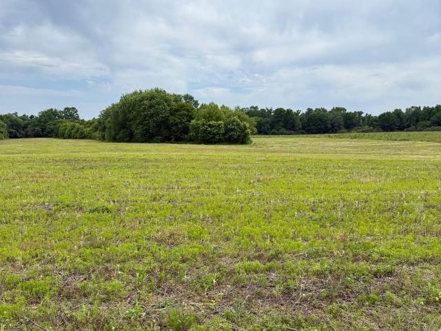 Land for sale in Section, Alabama