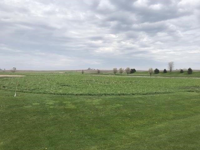 Land for sale in Mendota, Illinois