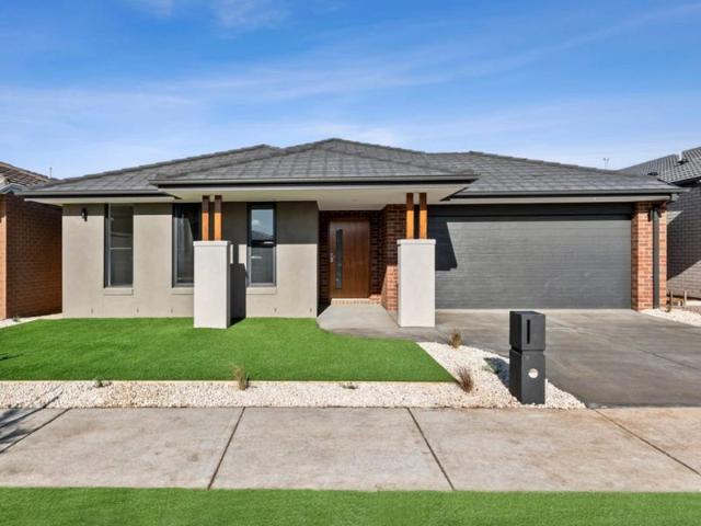 Apartment for rent in Geelong, Victoria