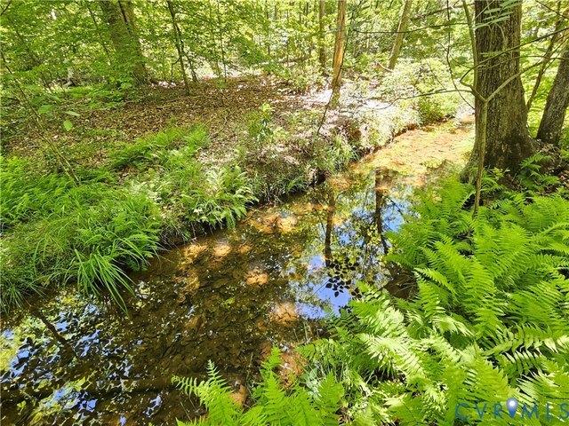 Land for sale in Virginia