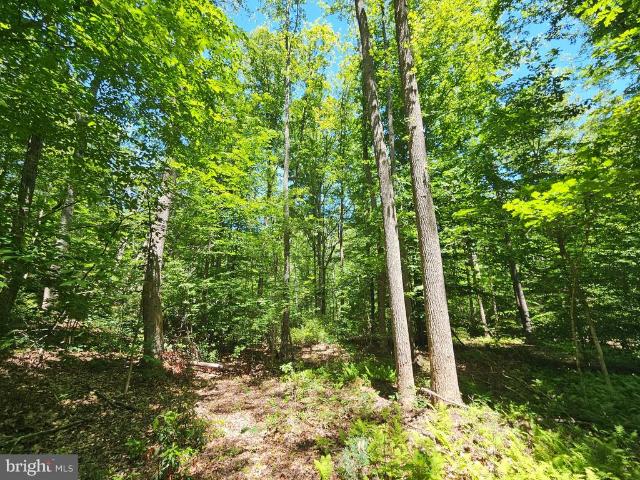 Land for sale in Virginia