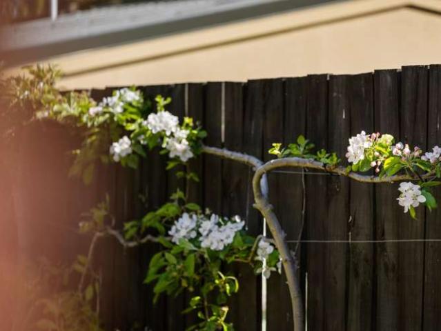 House for sale in Wānaka, Queenstown-Lakes District