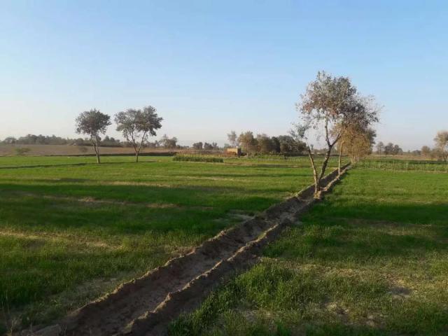 Land for sale in Khushab, Islamabad Capital Territory