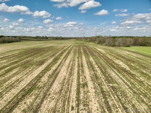 Land for sale in Ashford, Alabama
