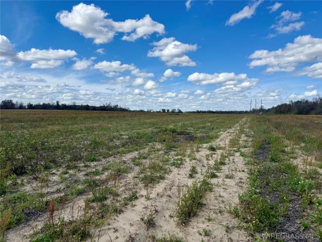 Land for sale in Ashford, Alabama