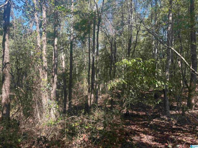 Land for sale in Trickem, Heflin