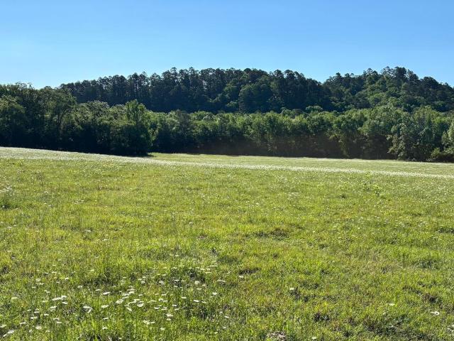Land for sale in Ark