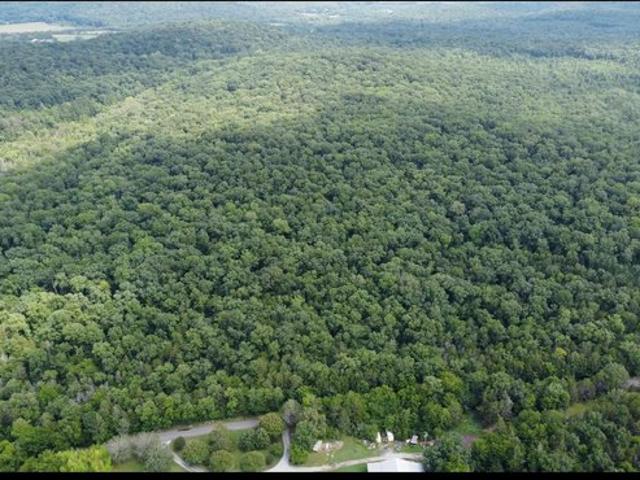 Land for sale in Woodville, Alabama