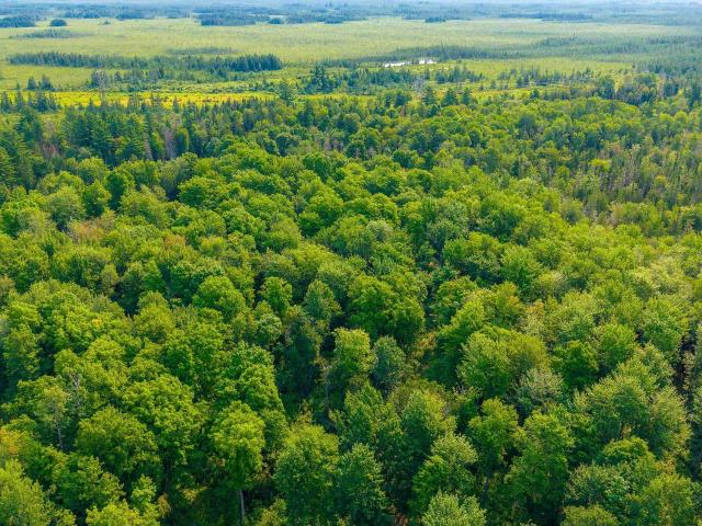Land for sale in Michigan