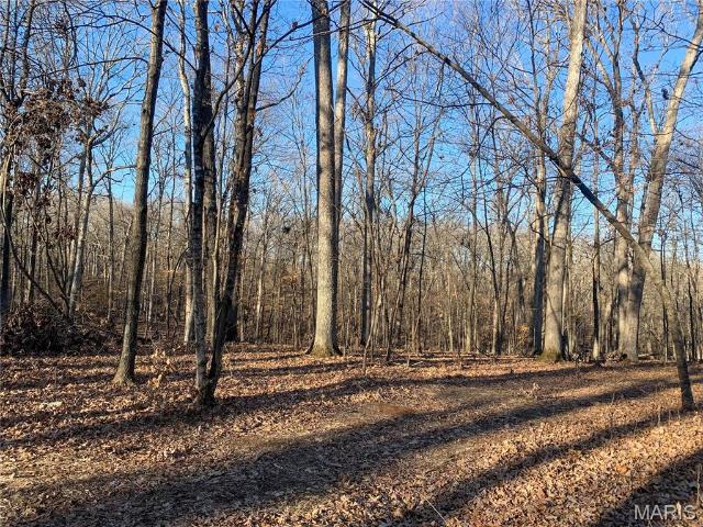 Land for sale in Marthasville, Missouri