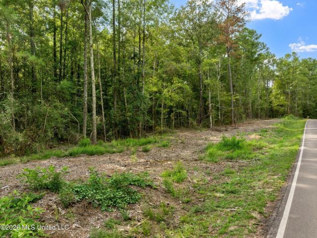 Land for sale in Sumrall, Mississippi