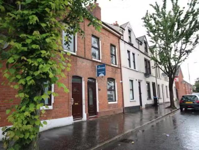 House to rent