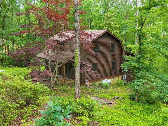 House for sale in Whitesburg, Georgia