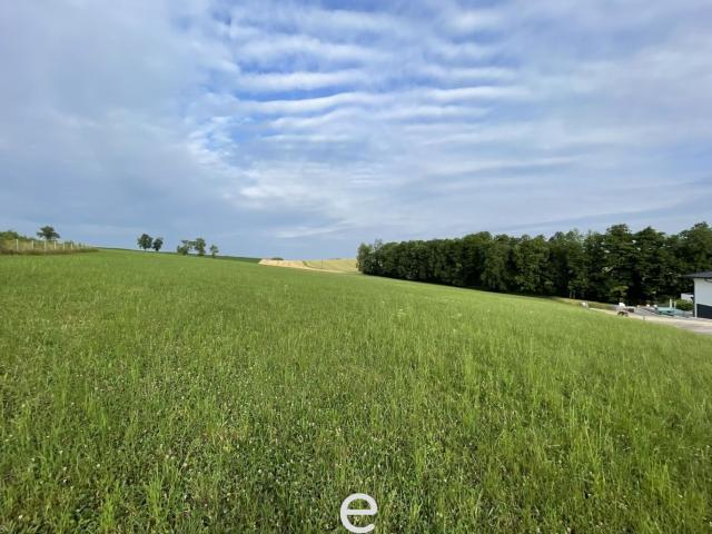 Grundstück kaufen in Waldneukirchen, Oberösterreich