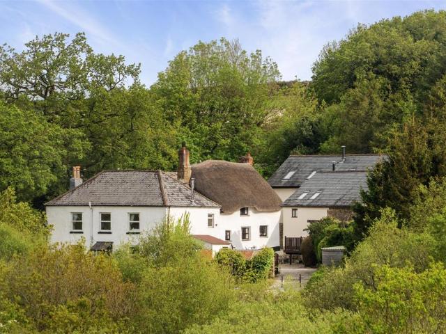 House for sale in Weir Quay, Devon