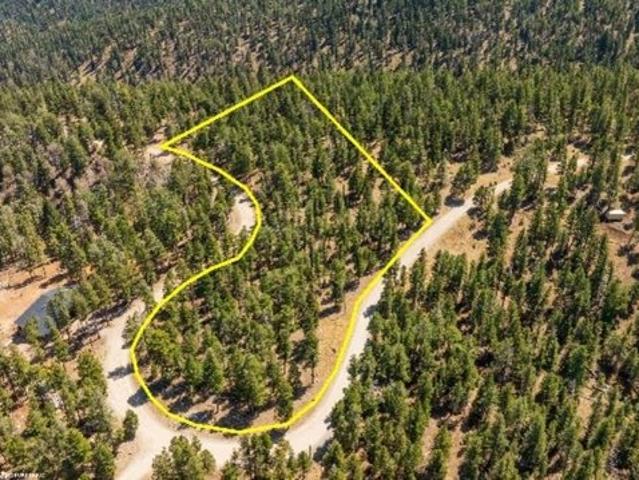 Land for sale in Cloudcroft, New Mexico