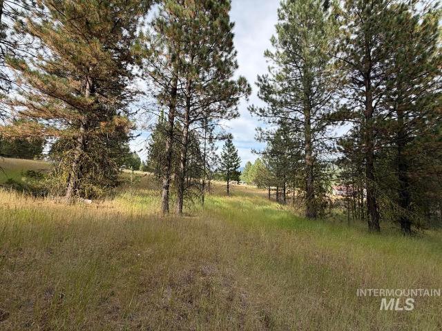 Land for sale in Cascade, Idaho