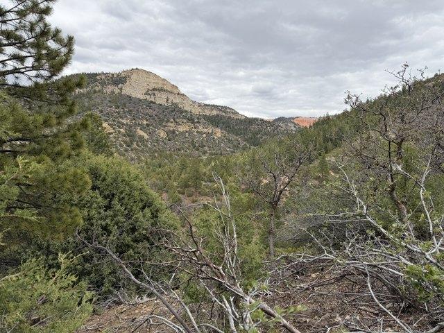 Land for sale in Utah