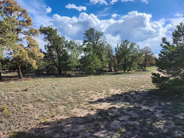 Land for sale in Catron County, New Mexico