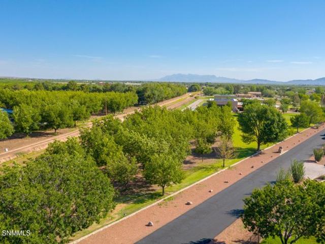 Land for sale in Dona Ana, New Mexico