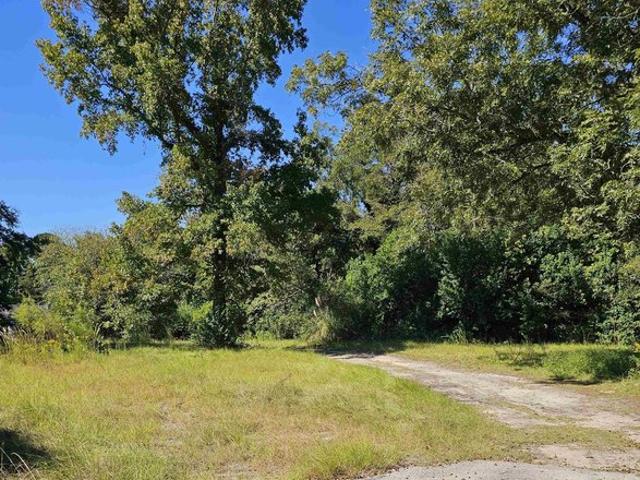 Land for sale in Manning, Clarendon County