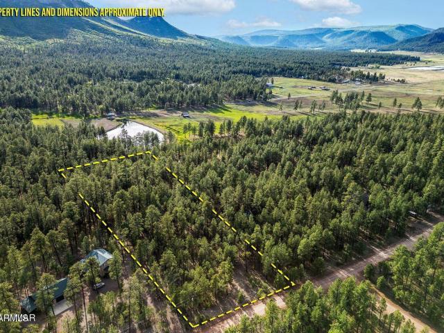 Land for sale in Alpine, Arizona