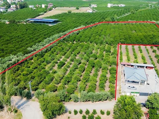 Erzin, Hatay içerisinde satılık mülk