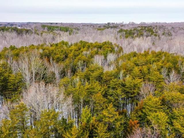 Land for sale in Virginia