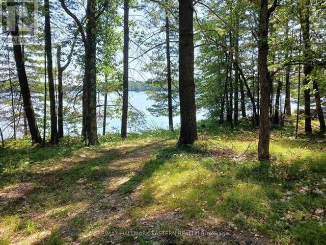 Land for sale in Methuen, Ontario