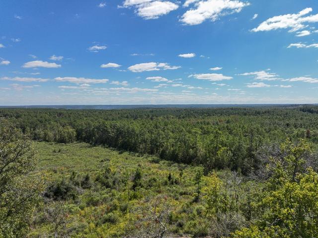 Land for sale in Polk, Texas