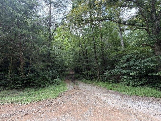 Land for sale in Tennessee