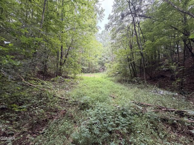 Land for sale in Tennessee