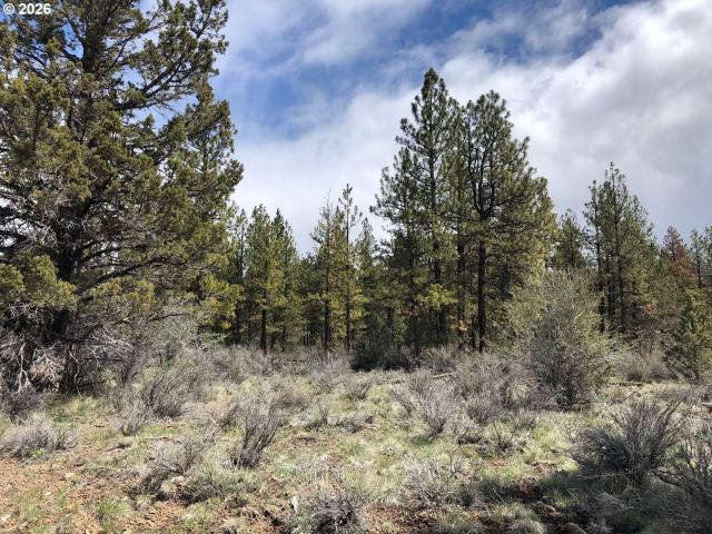 Land for sale in Oregonia