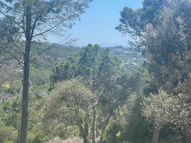 Farm for sale in Groot Brak Rivier, Western Cape