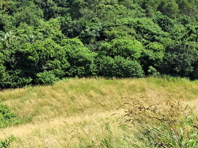 Farm for sale in Ugu District Municipality, Kwazulu-natal