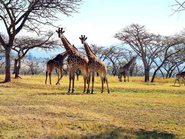Land for sale in Ehlanzeni, Mpumalanga