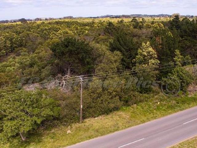 Land for sale in Eastern Cape