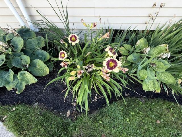 House for sale in Cortland, New York