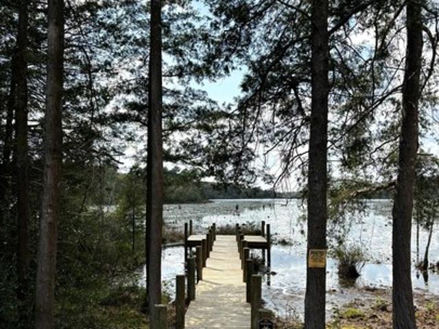 House for rent in Walton, Florida