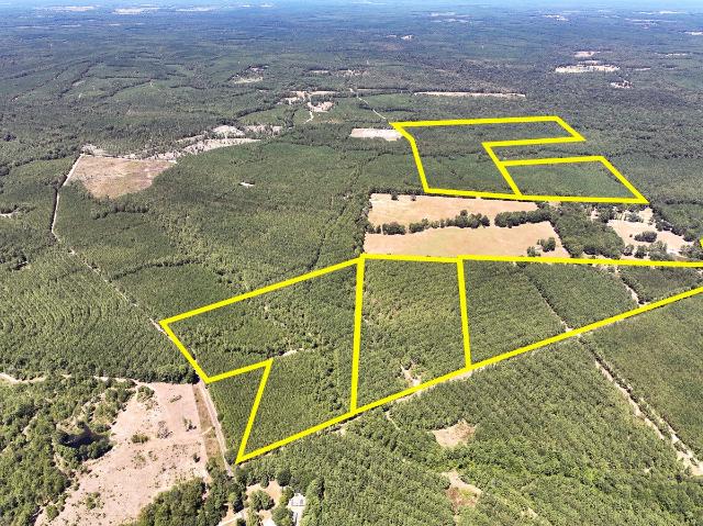 Land for sale in Zavalla, Texas