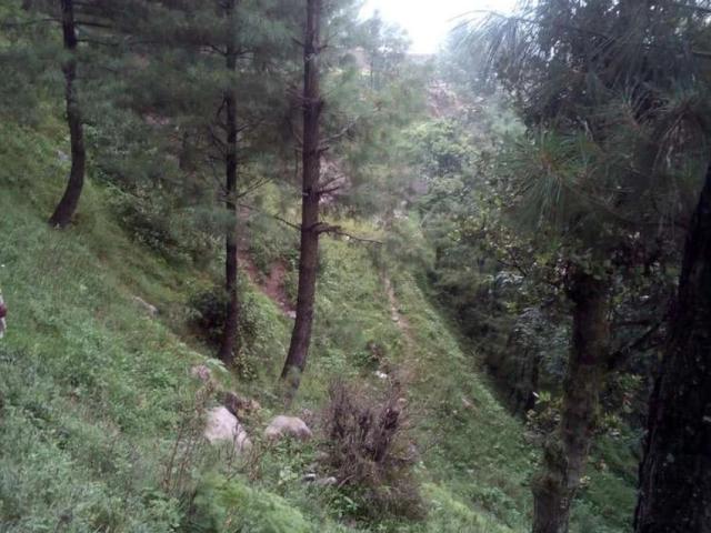 Land for sale in ایبٹ آباد, ہزارہ ڈویژن