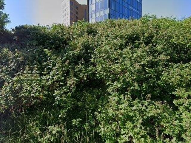 Bedrijfspand te huur in Rotterdam, Zuid Holland