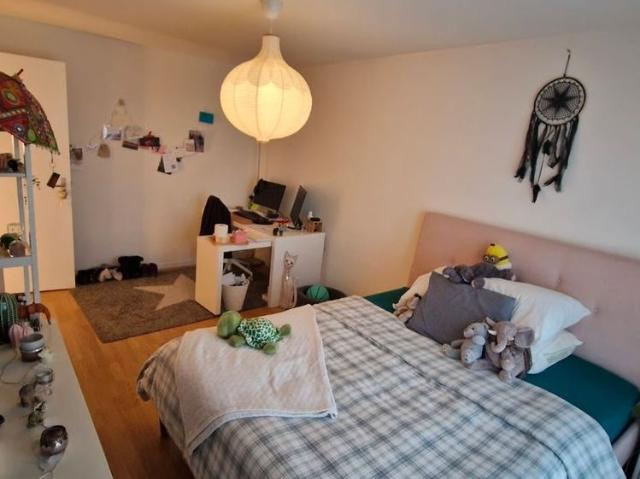 Studio mieten in Rotkreuz, Zug