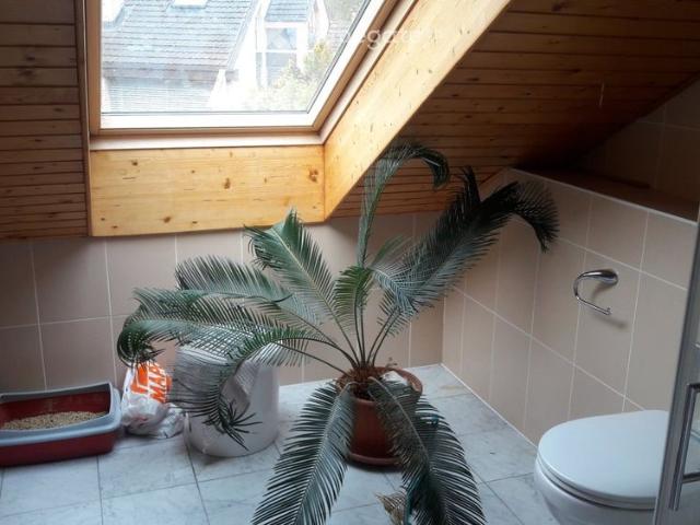 Studio mieten in Mont-sur-Lausanne, Waadt