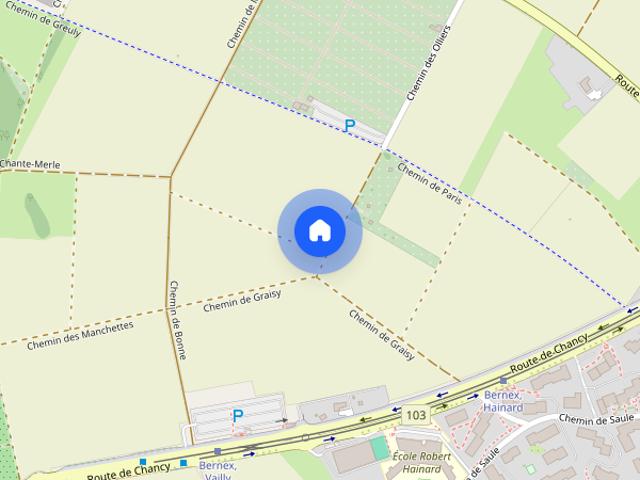 Studio mieten in Bernex